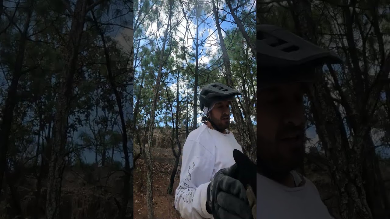Medio espinazo Bosque de la primavera 🤟🏽💥