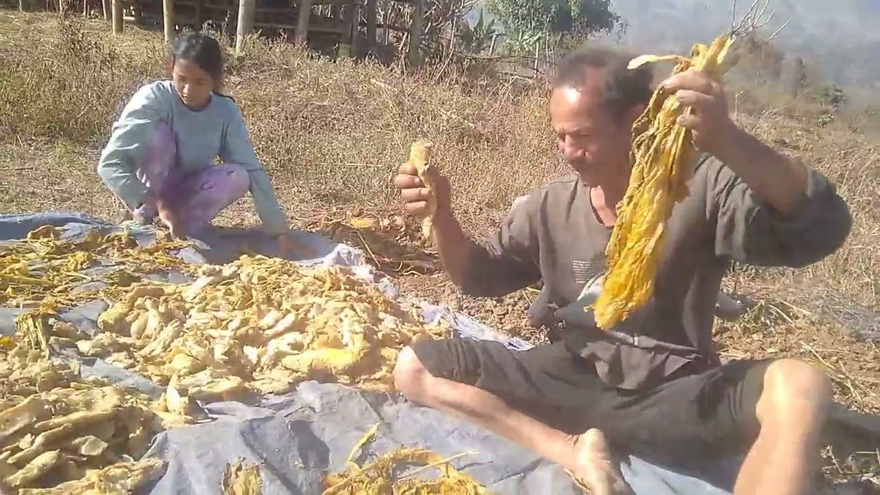 Nepali ho Mula gundruk atuiya tui ahi (ankam tilnei) 🥕🥕🥕