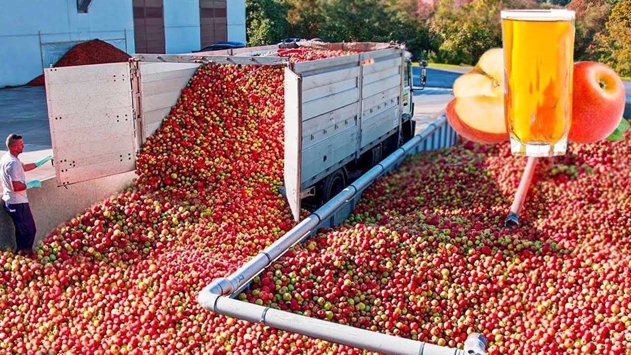 Comment le jus de pomme industriel est fabriqué | Comment le jus de pomme est produit en usine