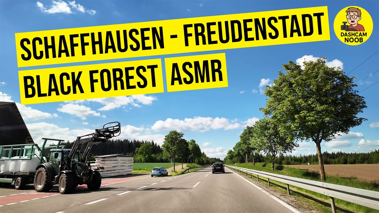 Schaffhausen 🇨🇭 - Freudenstadt 🇩🇪 | Switzerland to Schwarzwald | ASMR | 4K | #143