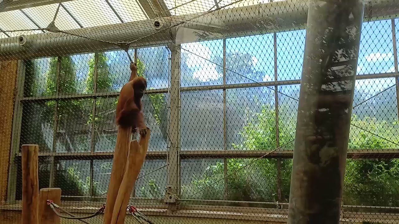 Zoobesuche 2025