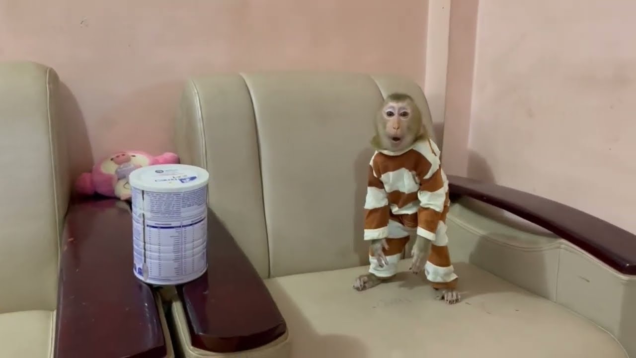 Jasmine use her lip smacking to asking mom for a little milk 