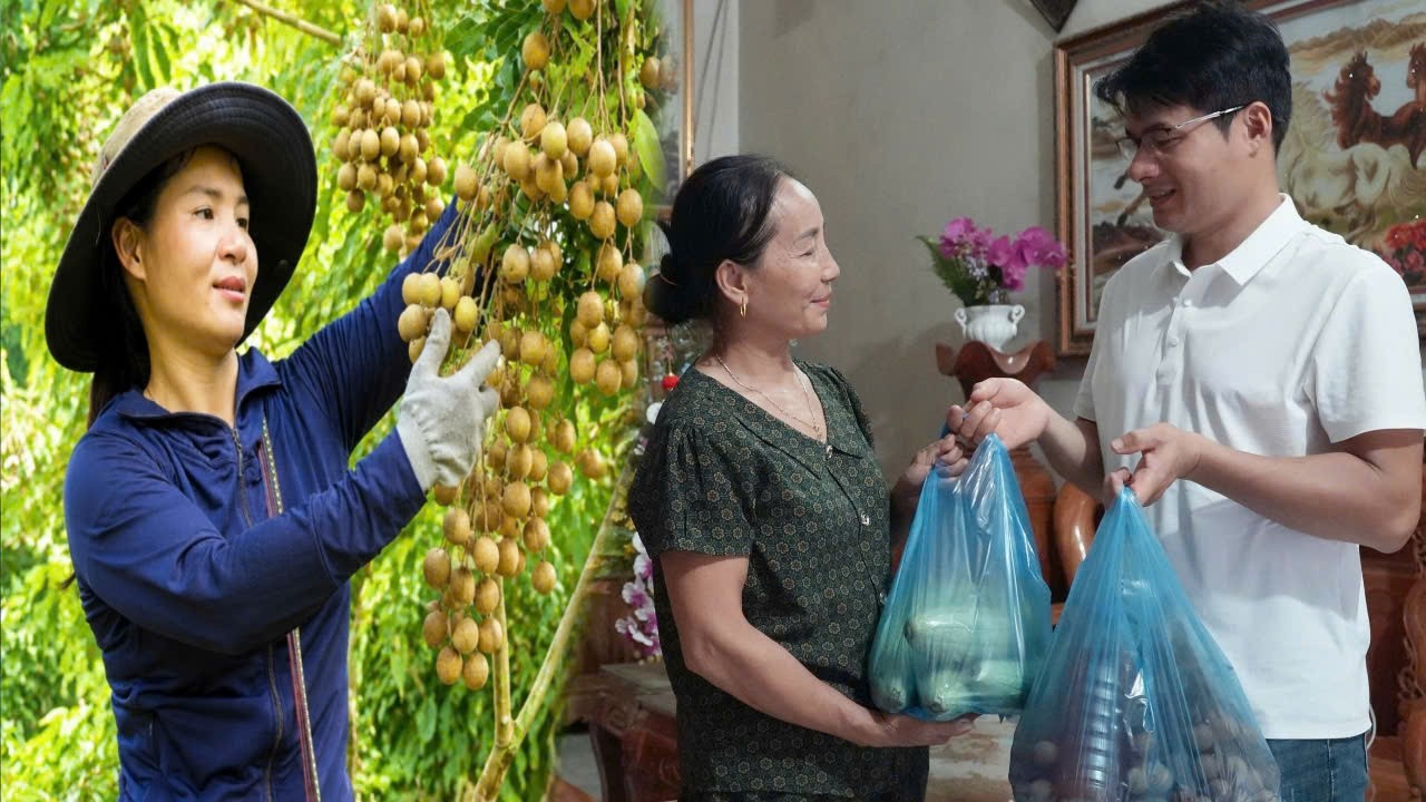 The Wretched Lives of To&agrave;n and Diễm: Beyond Their Misfortune, They Deserve Love