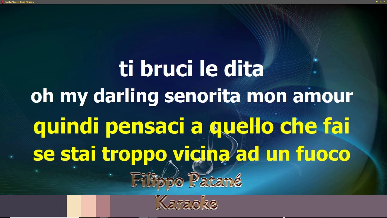 Alrangone-Senorita-karaoke