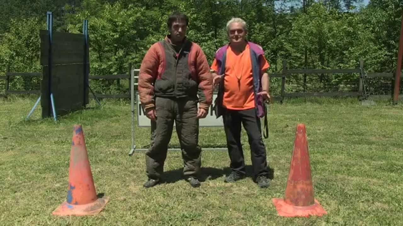 Los secretos del ring. Versión en castellano