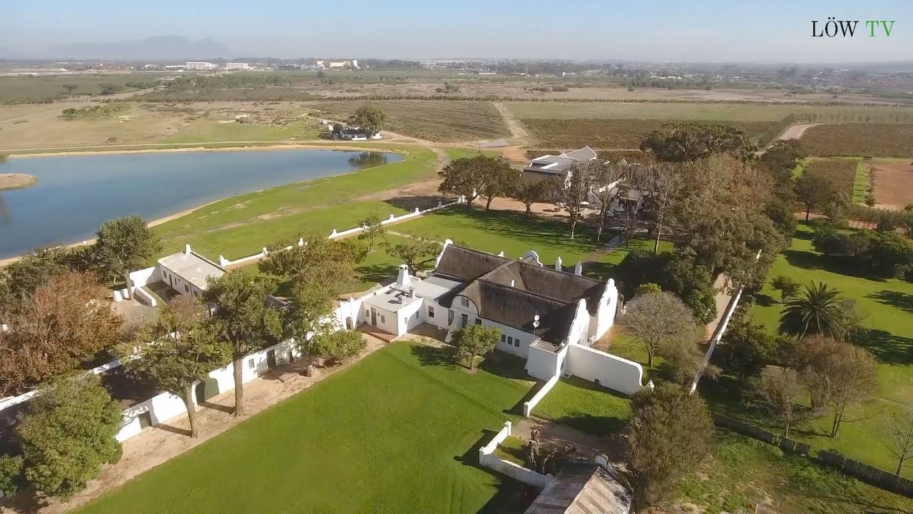 Weingut Vergenoegd L&ouml;w - Drohnenflug