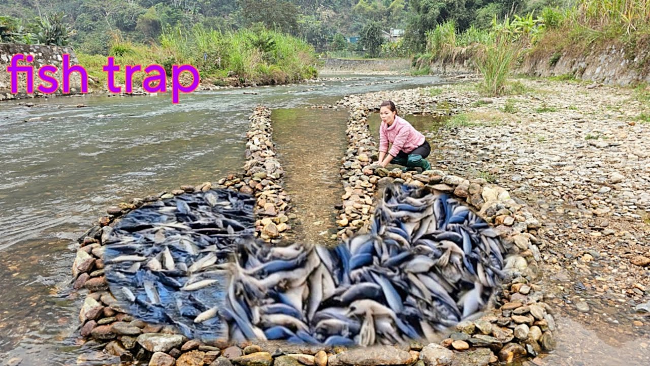 Full video of Ana's 31 days of making fish traps in the stream. Luckily caught many big fish.