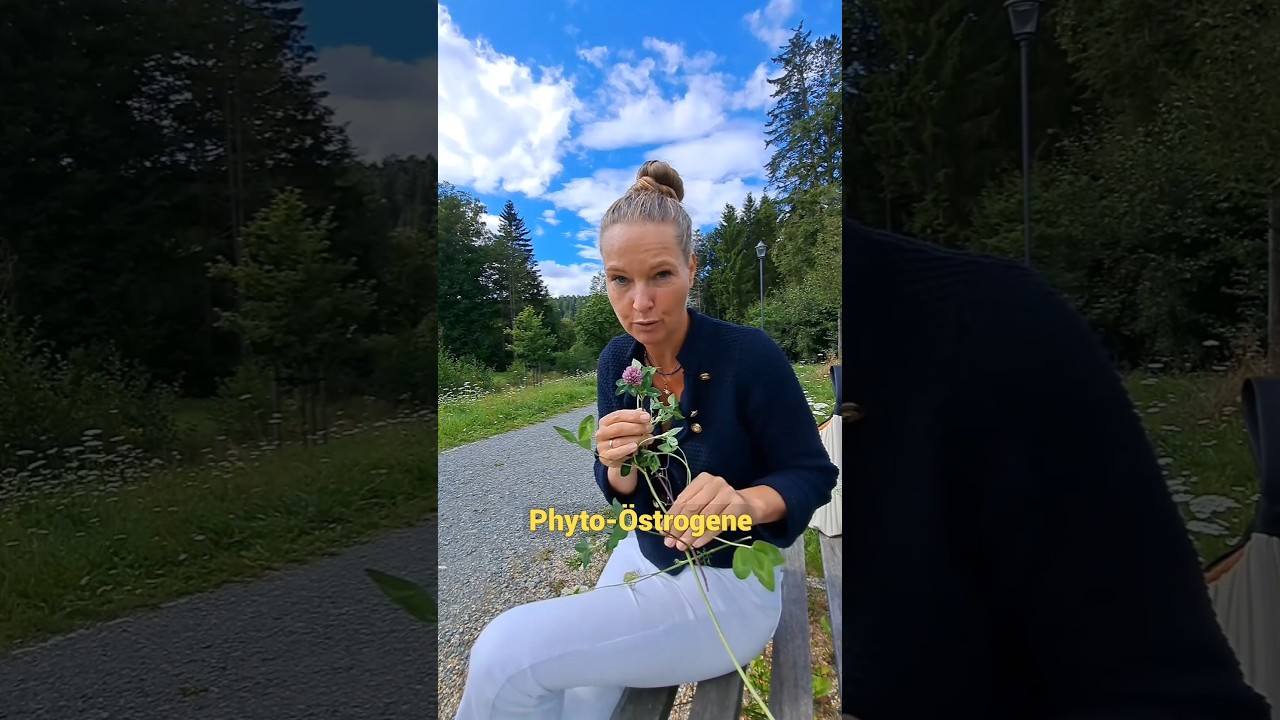 Frauen Heilkraut #heilkr&auml;uter #alteswissen #naturwissen #weiblichekraft #&uuml;40 #nat&uuml;rlichegesundheit