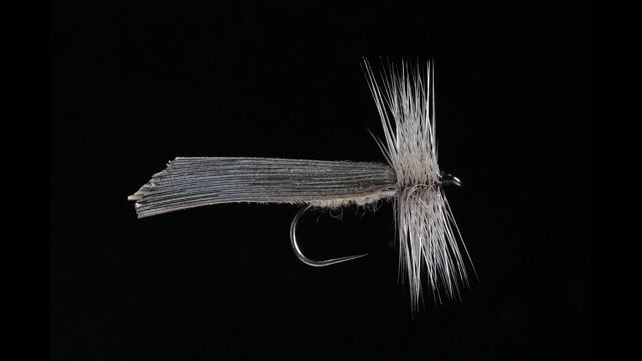GREY SEDGE