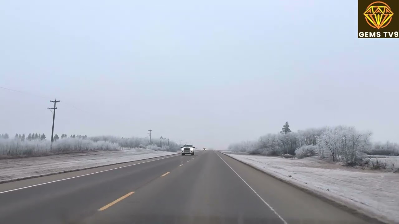 Frosty ☃️ today and cold wind 💨 