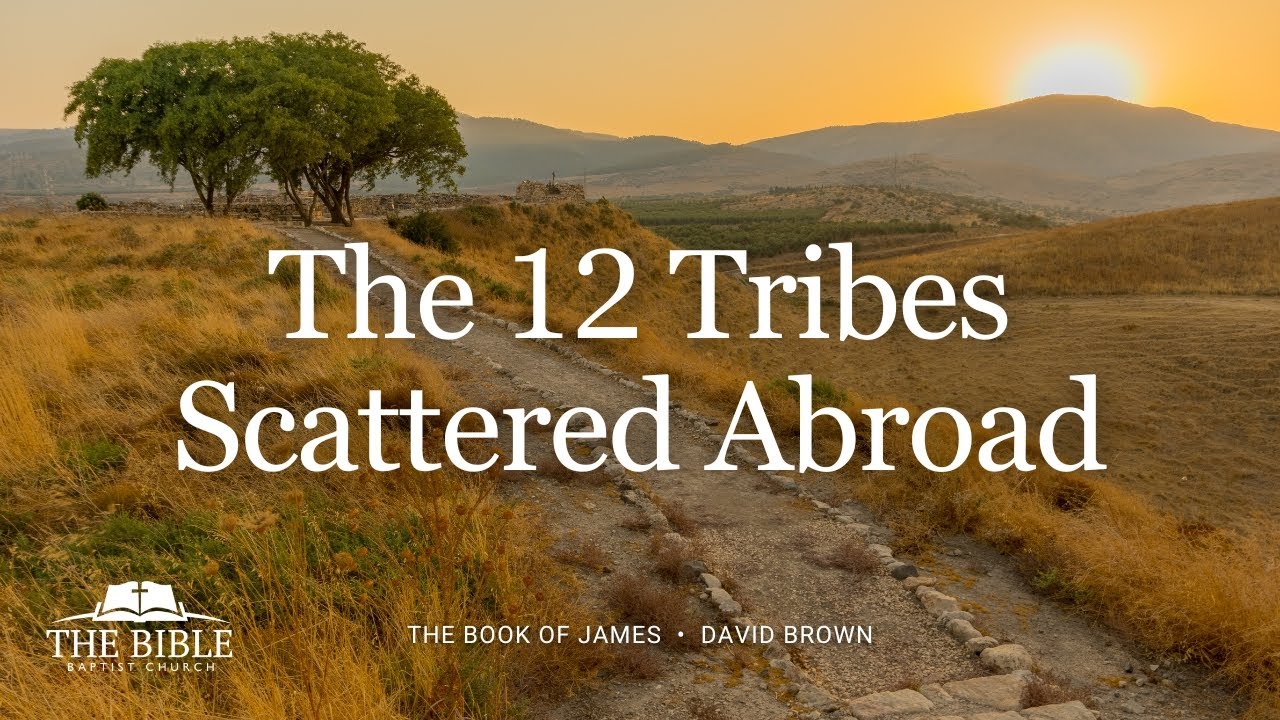The 12 Tribes Scattered Abroad | David Brown
