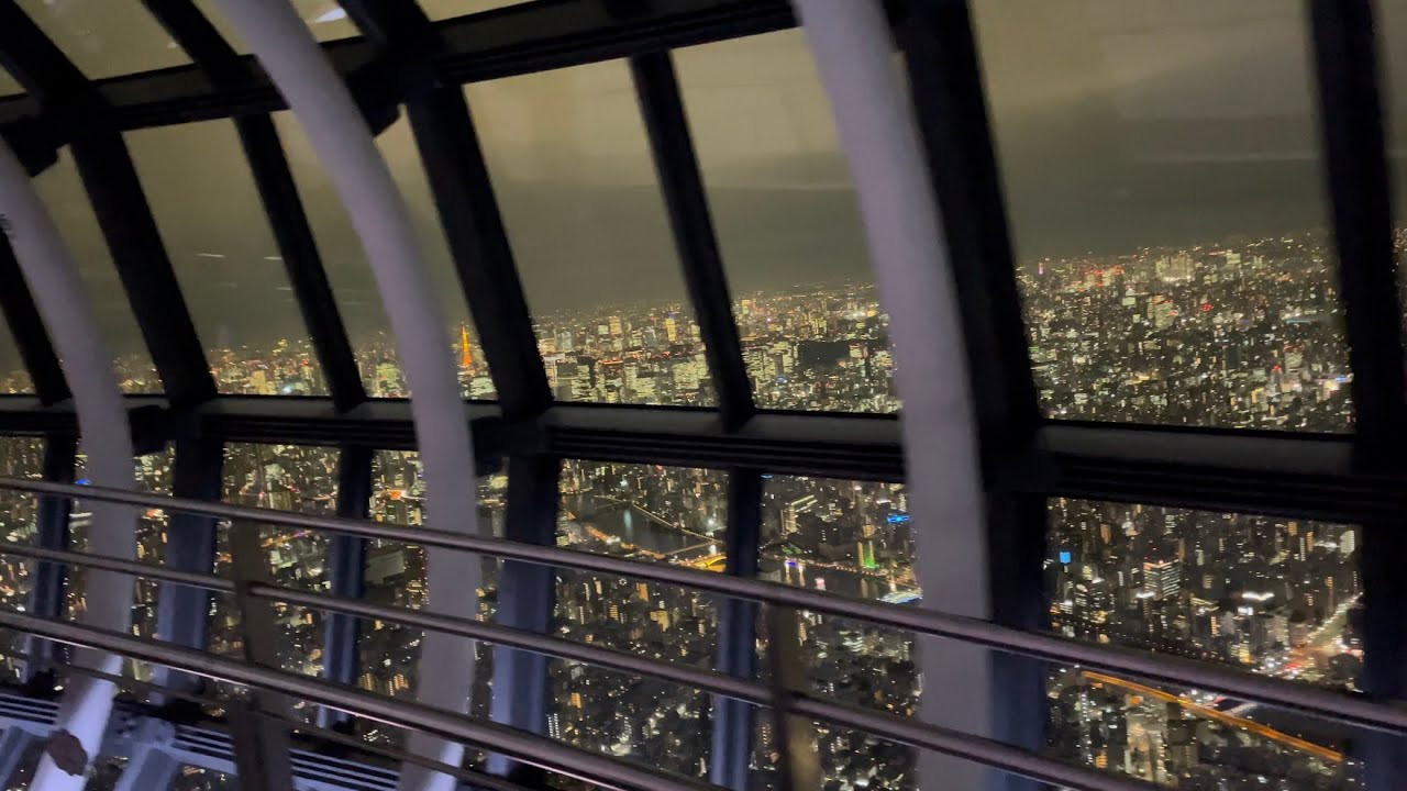 Fresh seafood bowls and a breathtaking night view from the Skytree Observation Corridor!