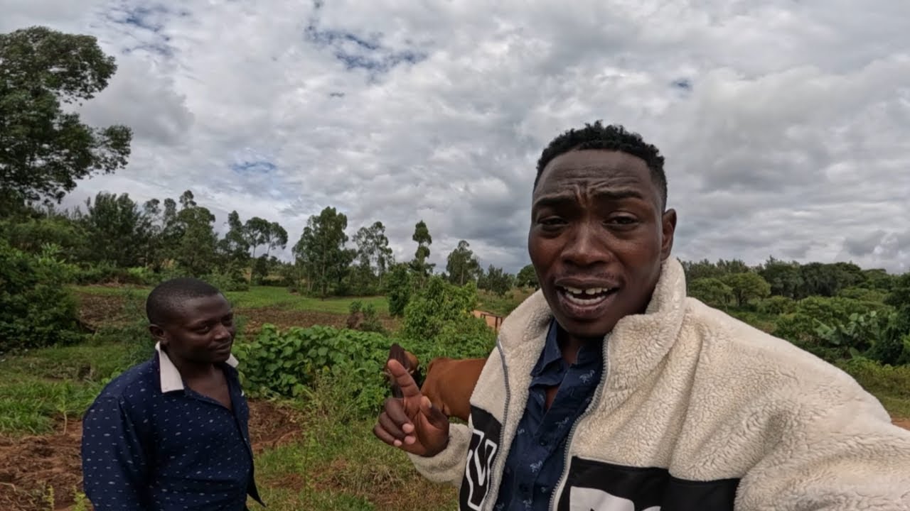 Sad Day🥲!!….They Attacked Him ||Neighbor Destroyed My Property |Home Updating 