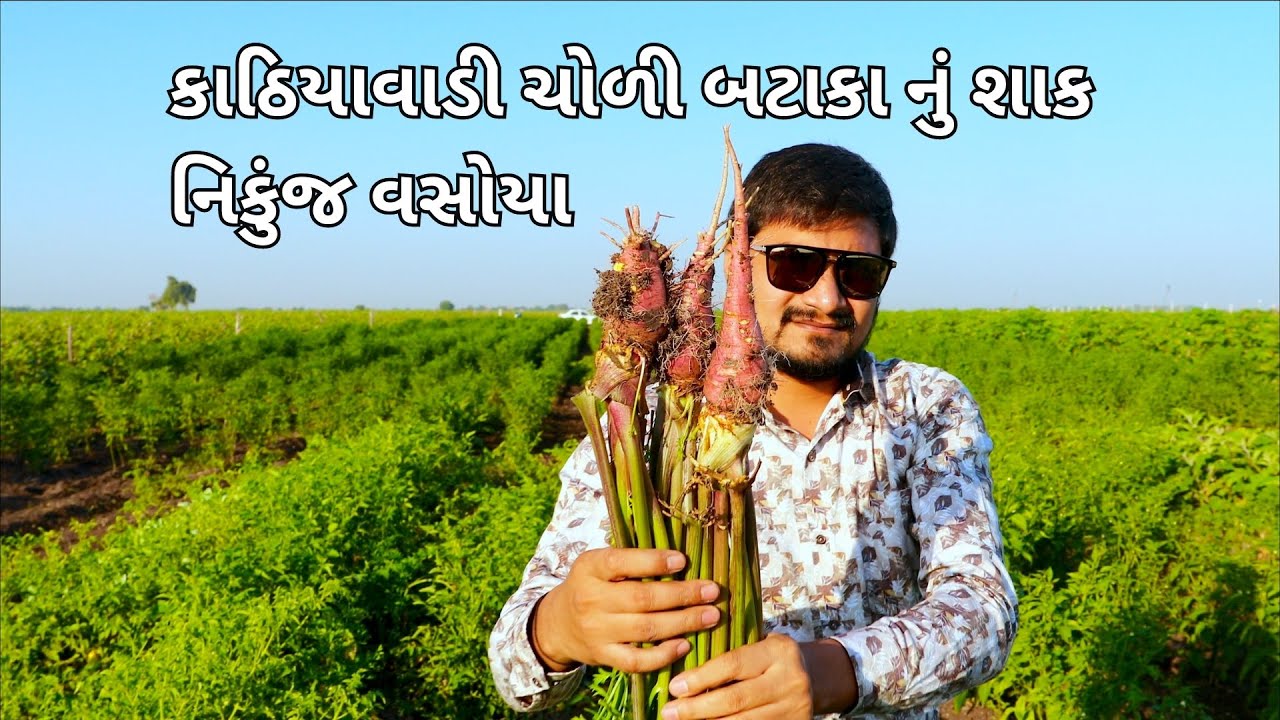 એકદમ દેશી Choli Bataka Nu Shaak ane Sambharo Nikunj Vasoya Dwara