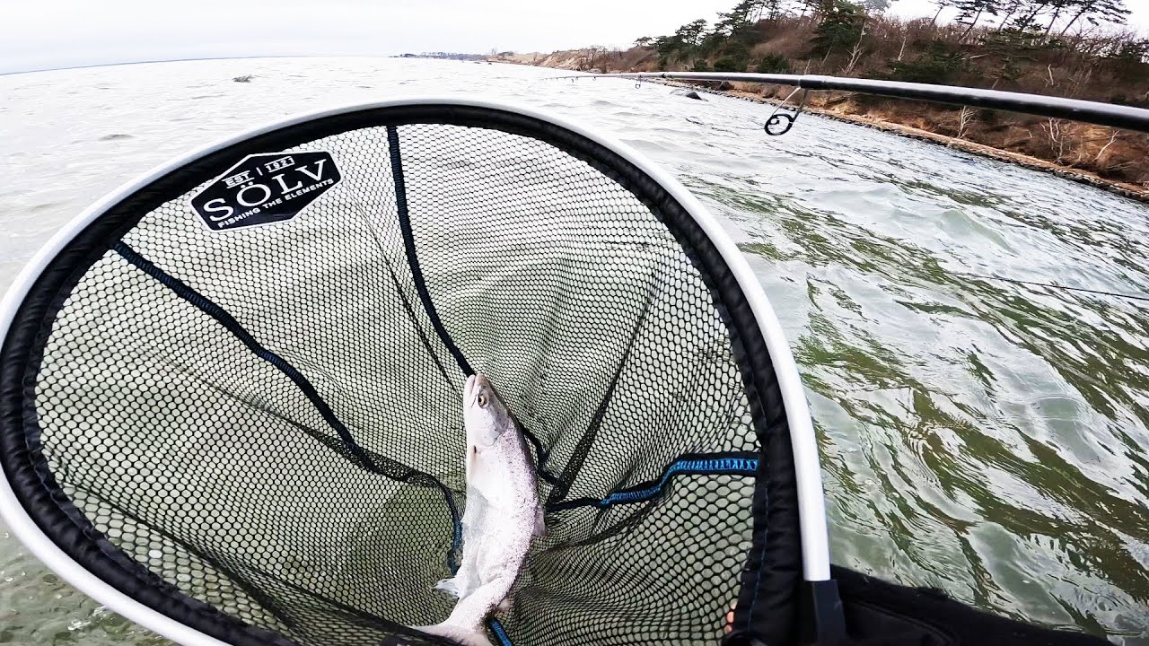 KUSTFISKE efter HAVSÖRING i Skåne - Bonusbåge & Rulldopp