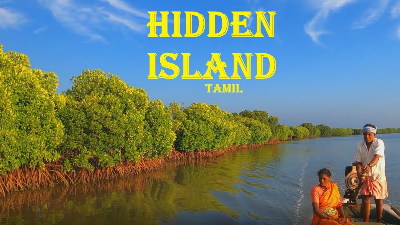 Hidden island Pichavaram mangrove forest boating drone view budget travel  vlog yengadapora