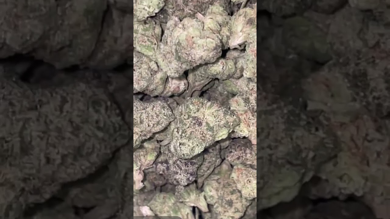 THCa king gorilla glue smalls $180 qp of fire. #thcareview #thcaking