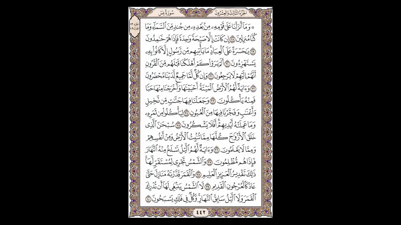 سورة يس - الشيخ خالد الجليل - صفحة 442 للحفظ مكررة ثلاث مرات