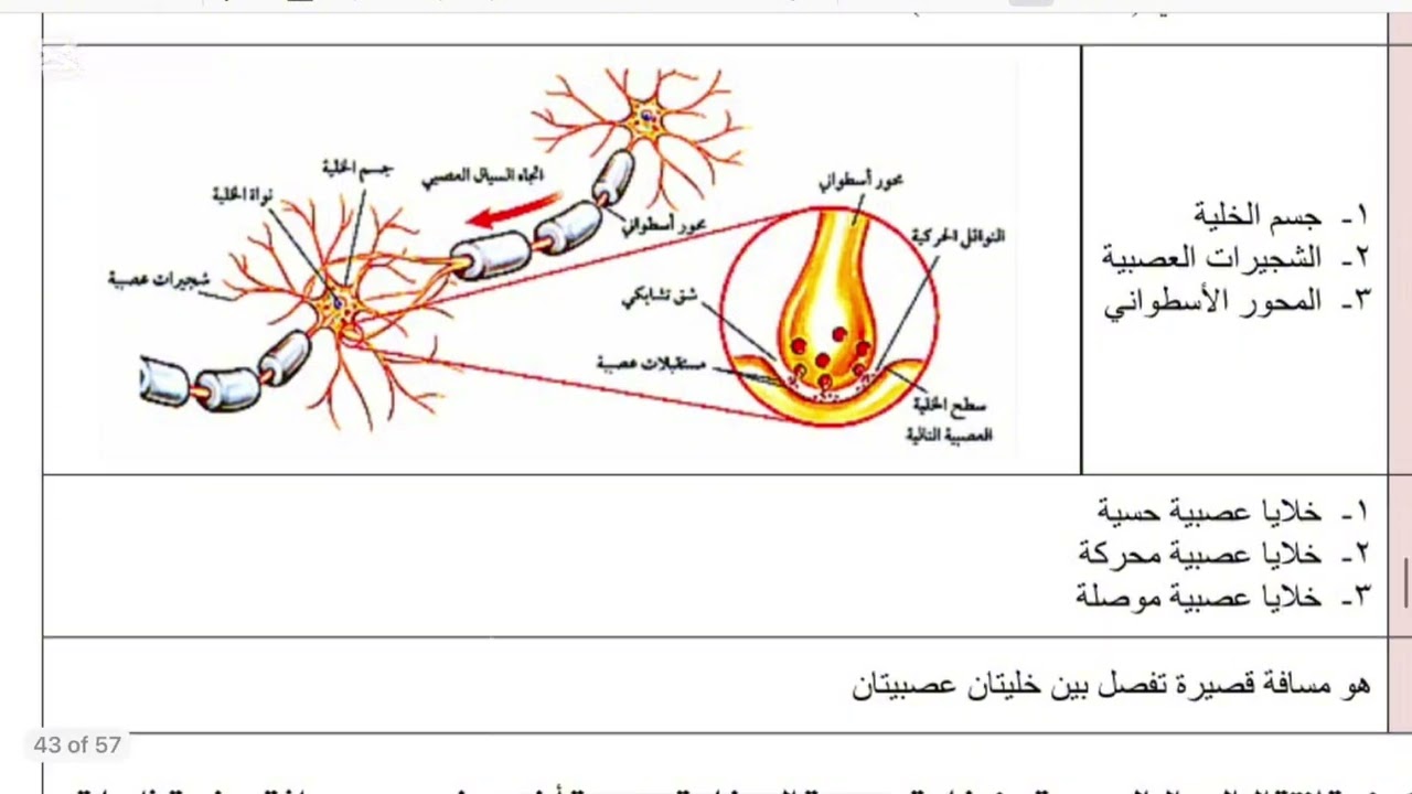 الجهاز الهيكلي والجهاز العصبي علوم ثاني متوسط الفصل الدراسي الثاني الجزء الثاني