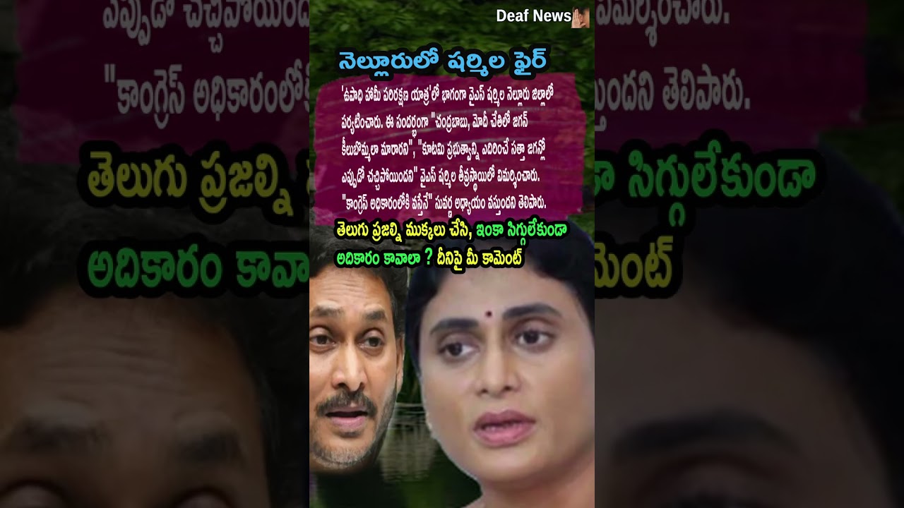 AP Politics, GOLDEN ERA ONLY WITH CONGRESS, SAYS SHARMILA! 🦁
