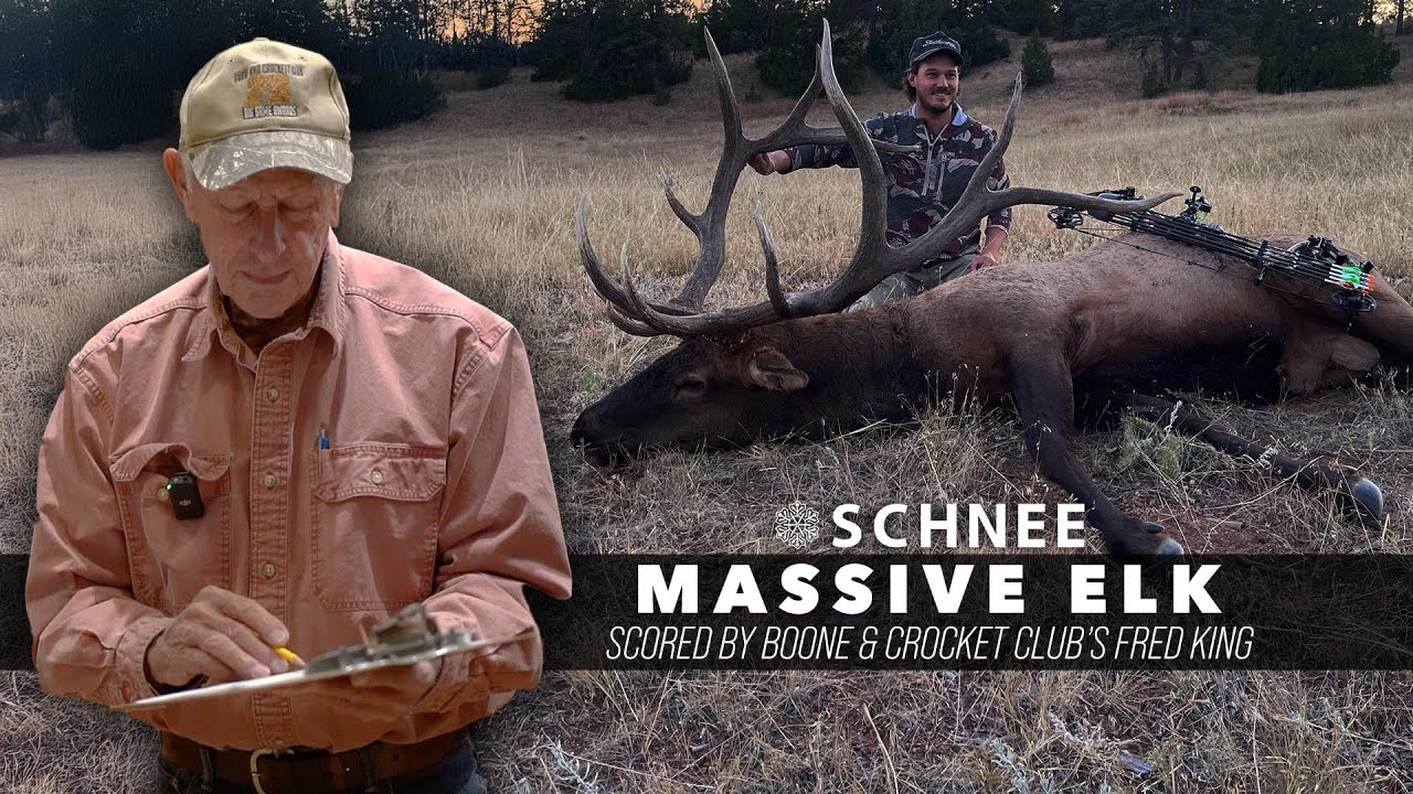 Fred King Scores Massive Bull Elk
