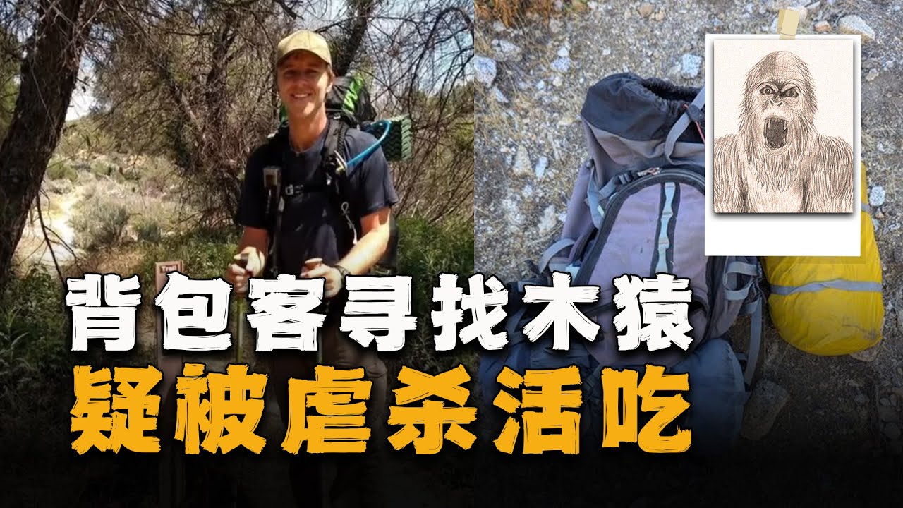 疑遭木猿分尸，背包客前往丛林寻找木猿后失踪，多年后白骨被发现
