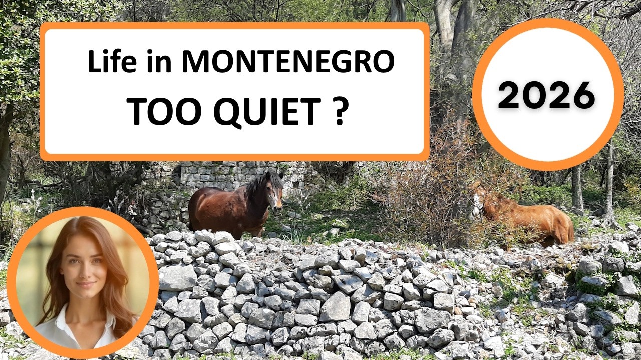 Is Life in Montenegro Too Quiet? The Real Pace of Life in 2026 | The Montenegro Insider 