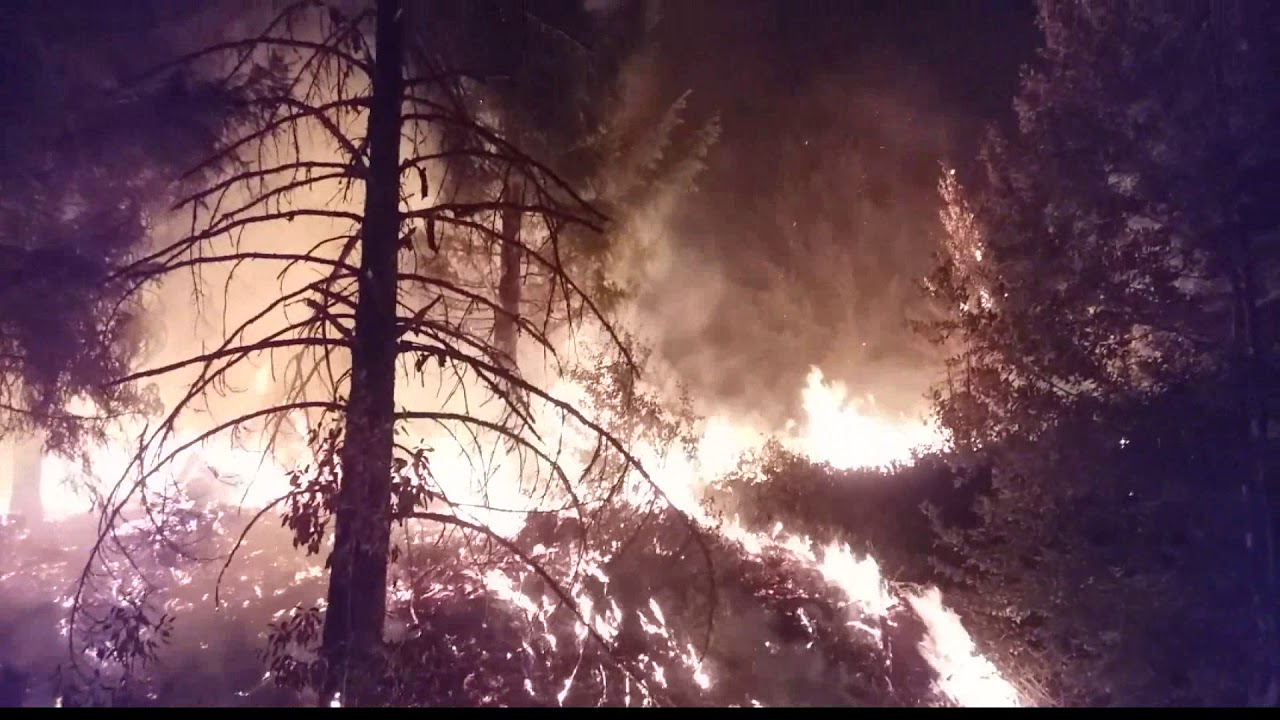 Day in the Life of a Wildland Firefighter  (Engine Crew)