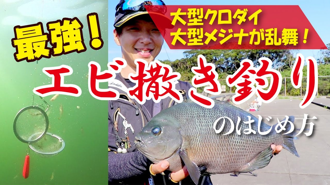 最強！エビ撒き釣りのはじめ方