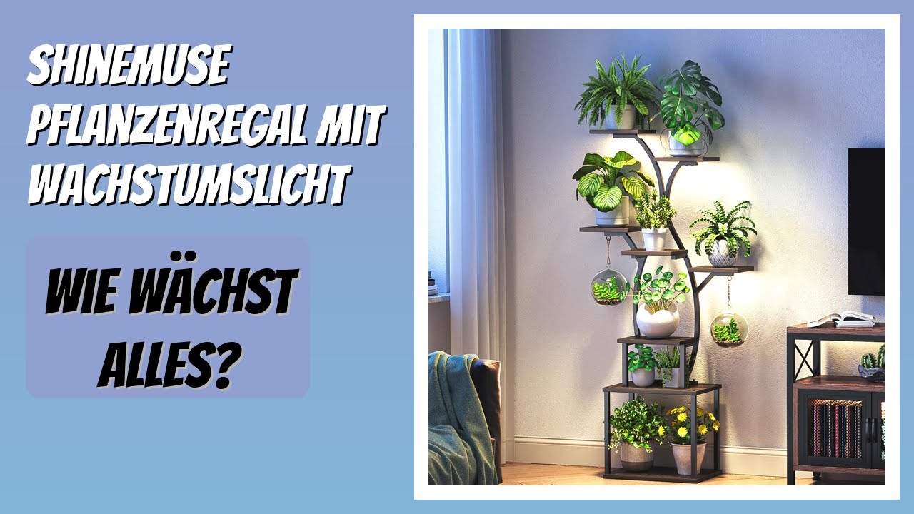BEWERTUNG (2026): ShineMuse Pflanzenregal mit Wachstumslicht. Infos