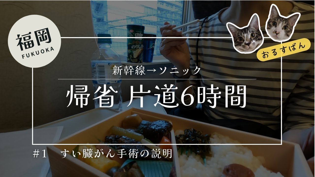片道6時間！すい臓がん手術の説明｜新幹線と特急を乗り継いで帰省してきました