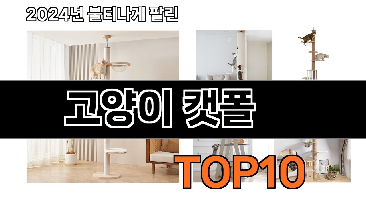 2025 가장 인기 있는 고양이 캣폴 추천 BEST10