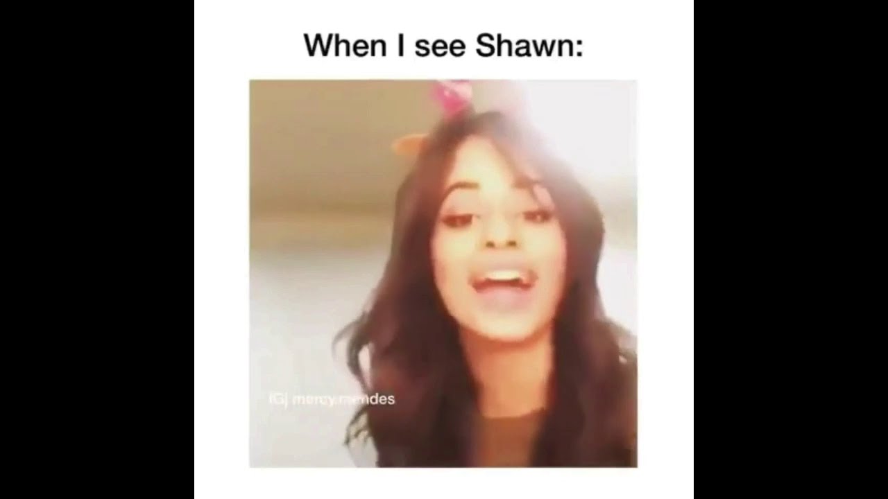 Shawn Mendes Funny Memes Compilation #1