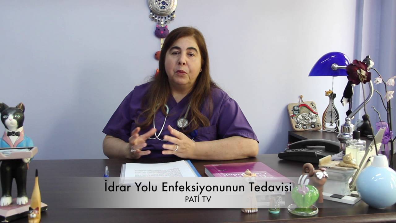 Kedi ve Köpeklerde İdrar Yolu Enfeksiyonunun Tedavisi