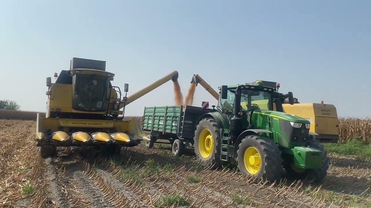 Nevholland TC5070 Mısır Hasadı 17 08 2023