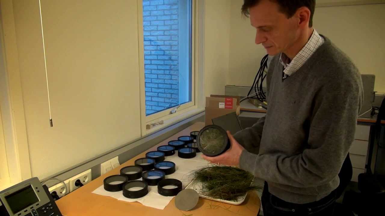 Forage analysis: Sampling and measurements