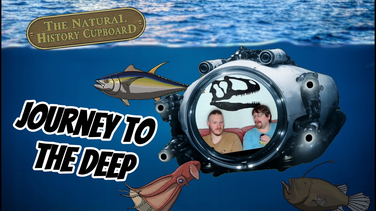 Journey To The Deep | Nature Bites