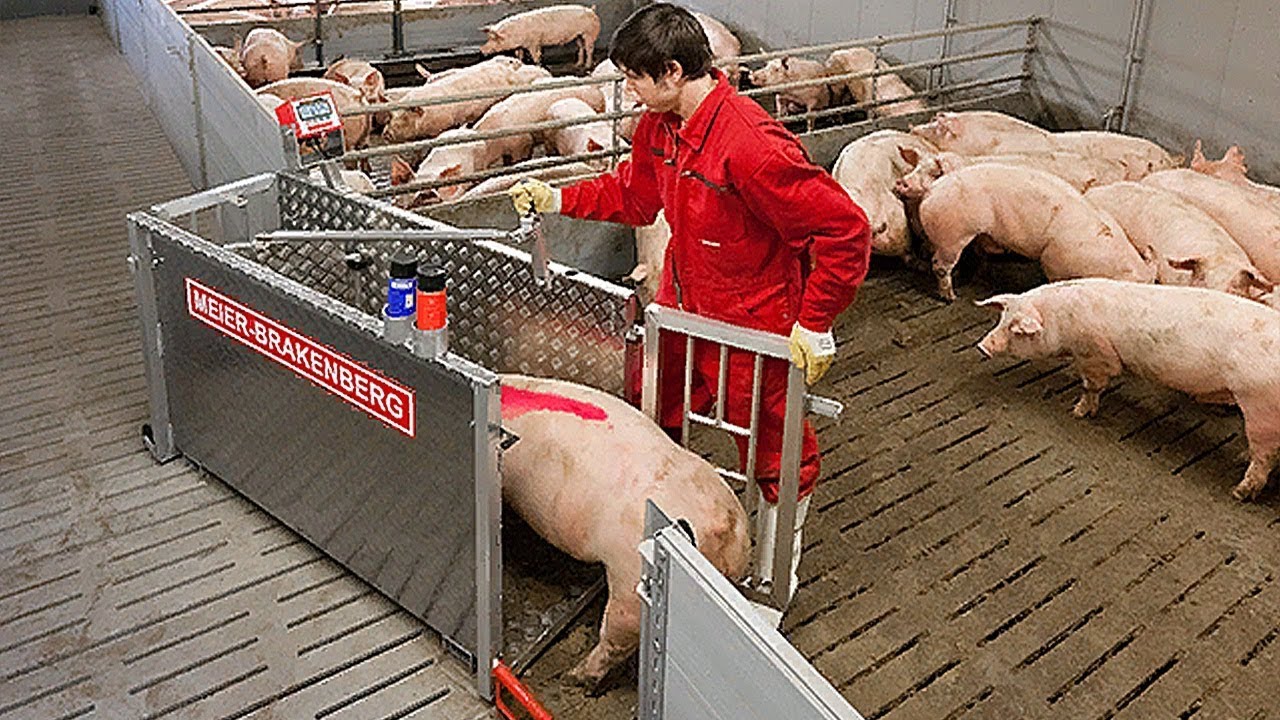 INDUSTRIEPRODUKTION, DIE AUF EINEM V&Ouml;LLIG NEUEN NIVEAU LIEGT