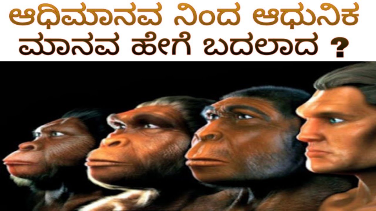 Human evolution, ಆಧಿಮಾನವ ನಿಂದ ಆಧುನಿಕ ಮಾನವ ಹೇಗೆ ಬದಲಾದ ?