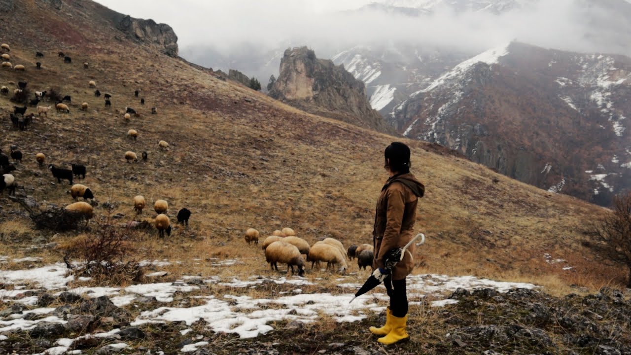 Türkiye'de kadınların en uzun yaşadığı yer: Dersim (Tunceli)