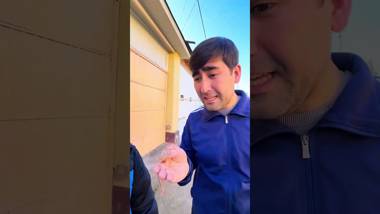 Omadbekni omadsiz hikoyasi 5
