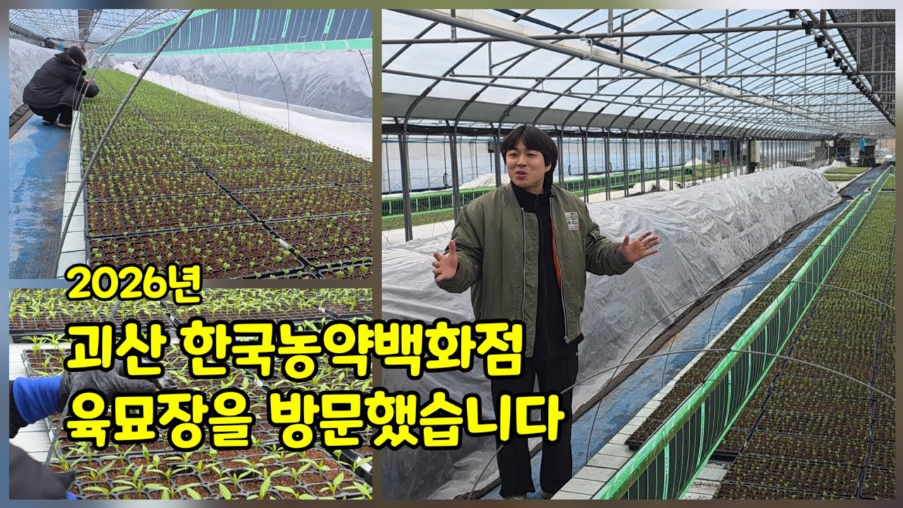 괴산 한국농약백화점 육묘장을 방문했습니다 