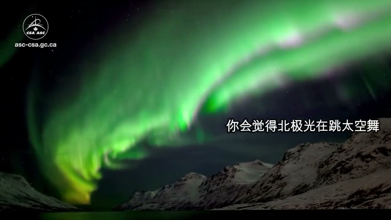 中英字幕｜神秘绚丽的北极光（Northern Lights)有几种颜色，是怎么形成的，在哪里可以看到？这部短片向你展示。