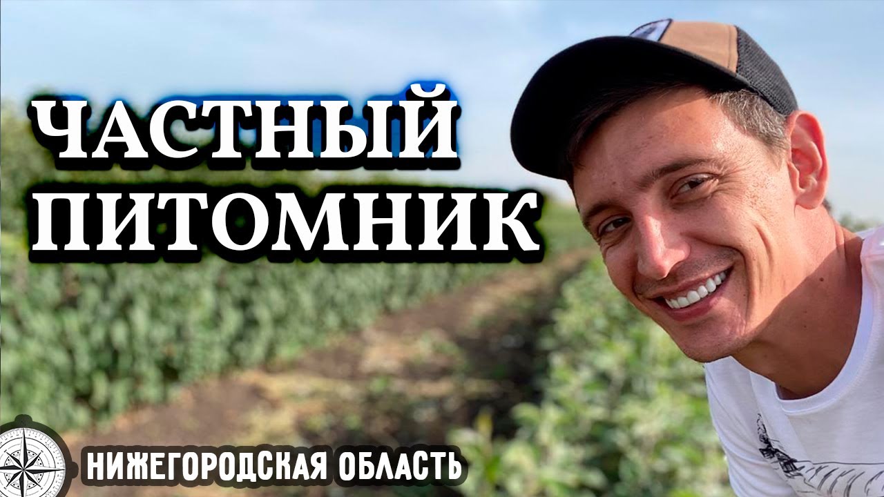 Частный питомник как бизнес // 
