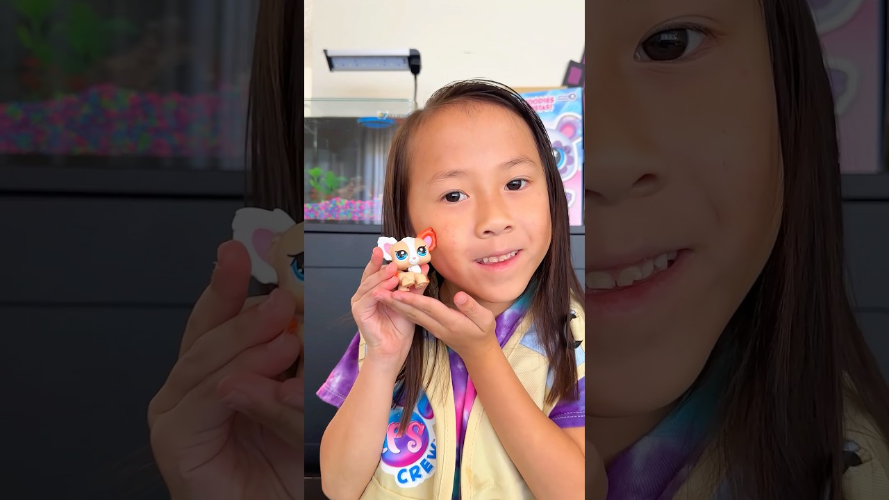 Littlest Pet Shop Surprise Rescue! @littlestpetshopofficial @PhillipandGwen