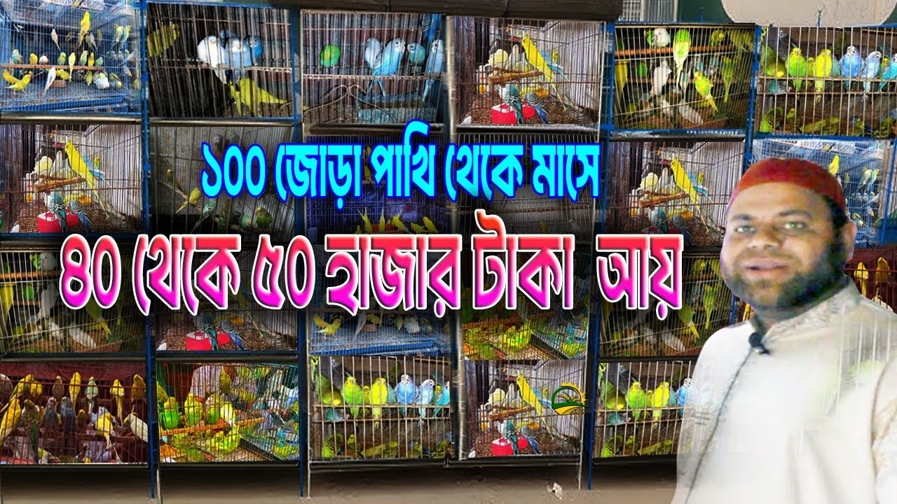 আপনি কি জানেন পাখি পালন করে কিভাবে মাসে ৪০-৫০ হাজার টাকা আয় করা যায়?