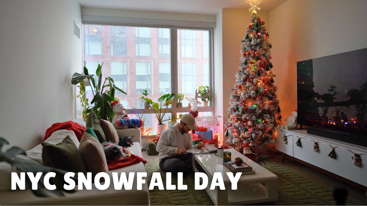 first snowfall in our nyc apartment this christmas season ❄️