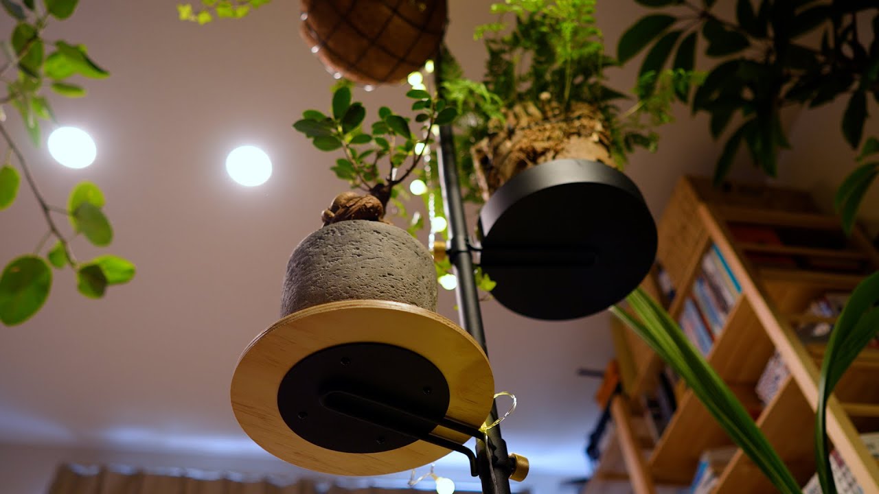 高さに変化をつけて観葉植物を飾れるつっぱり棒「Draw A line」