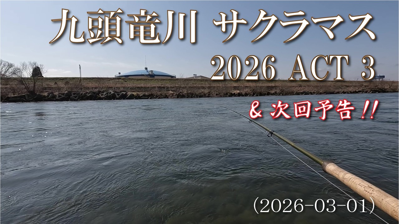 九頭竜川サクラマス 2026 ACT 3 2026-03-01