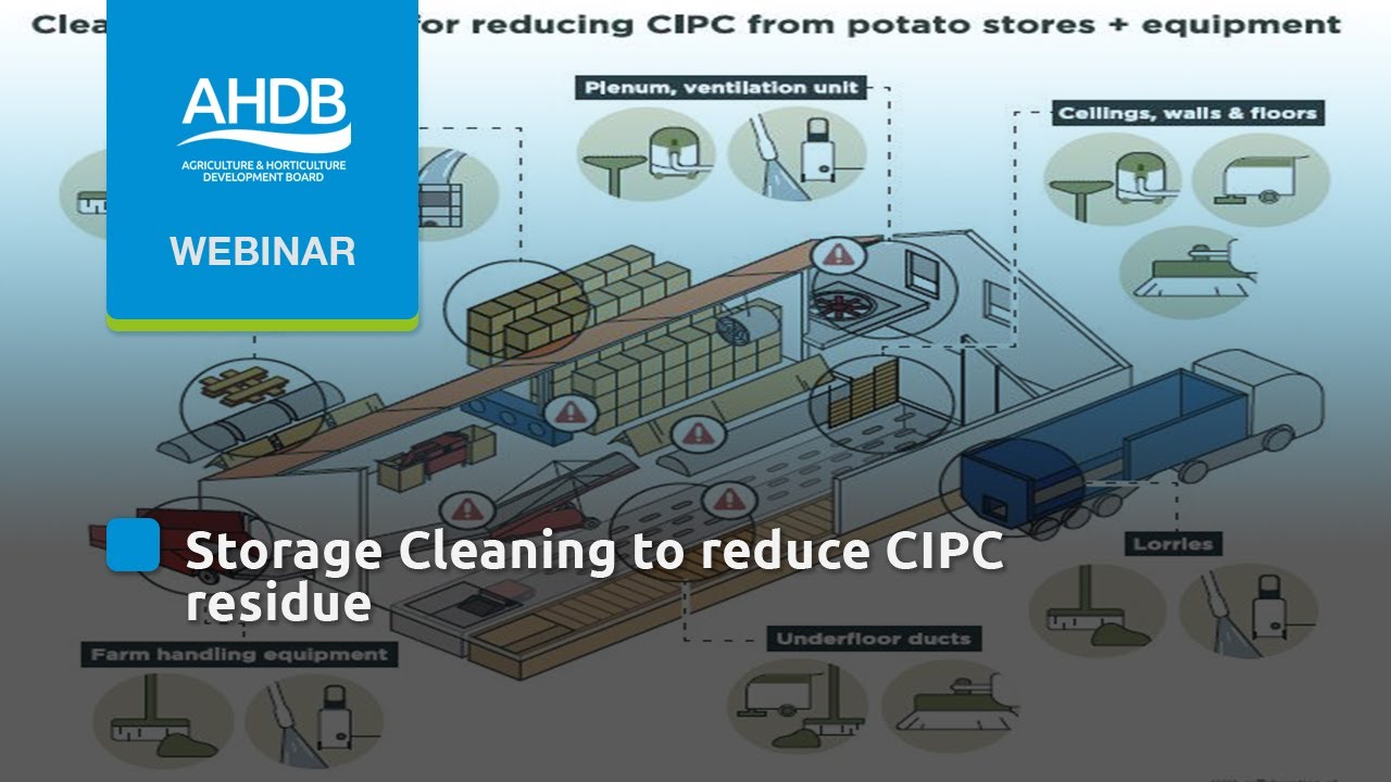 Webinar: Potato store cleaning and best-practice to reduce CIPC residue